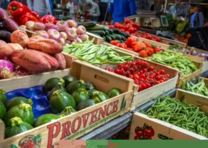 Appartement Le Vinci 5 Fréjus